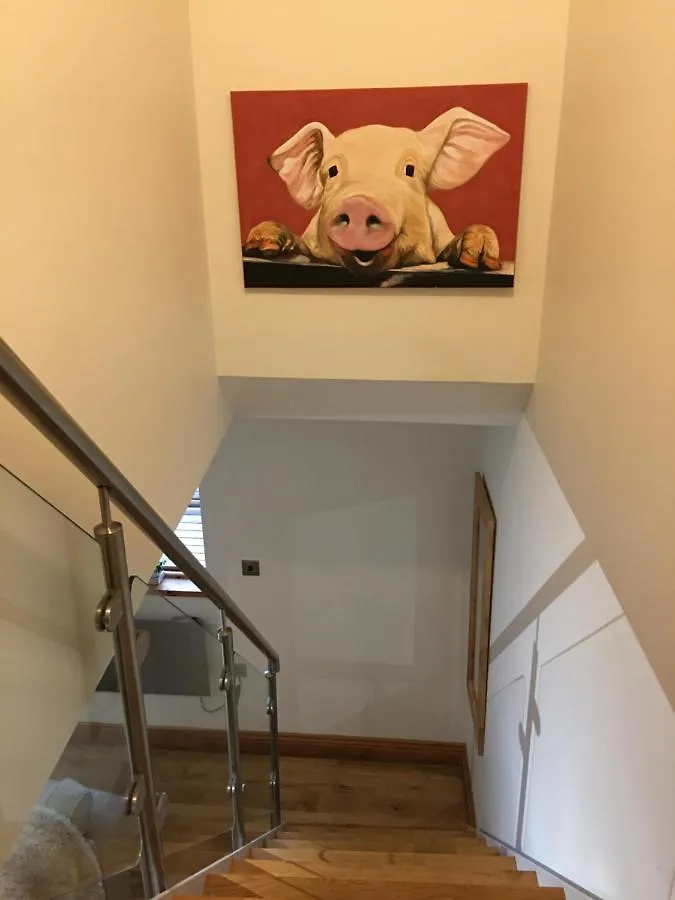 The Terrace Apartment York